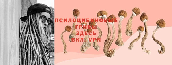первитин Армянск