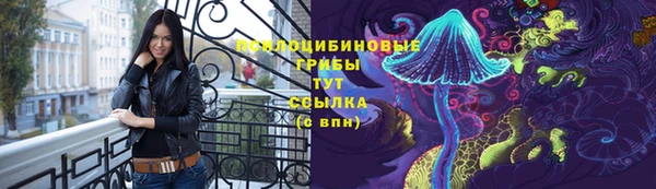 ECSTASY Алексеевка