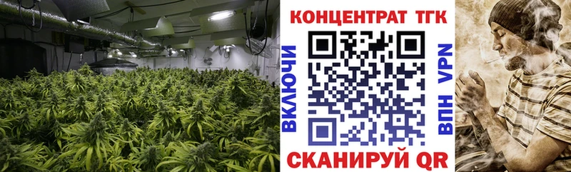 Купить закладки  Спасск  ТГК вейп 