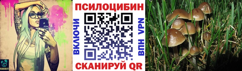 Галлюциногенные грибы Cubensis Спасск