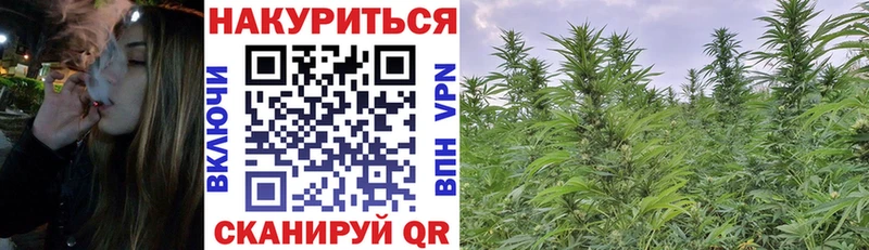 Конопля тримм  Купить закладки  Спасск 